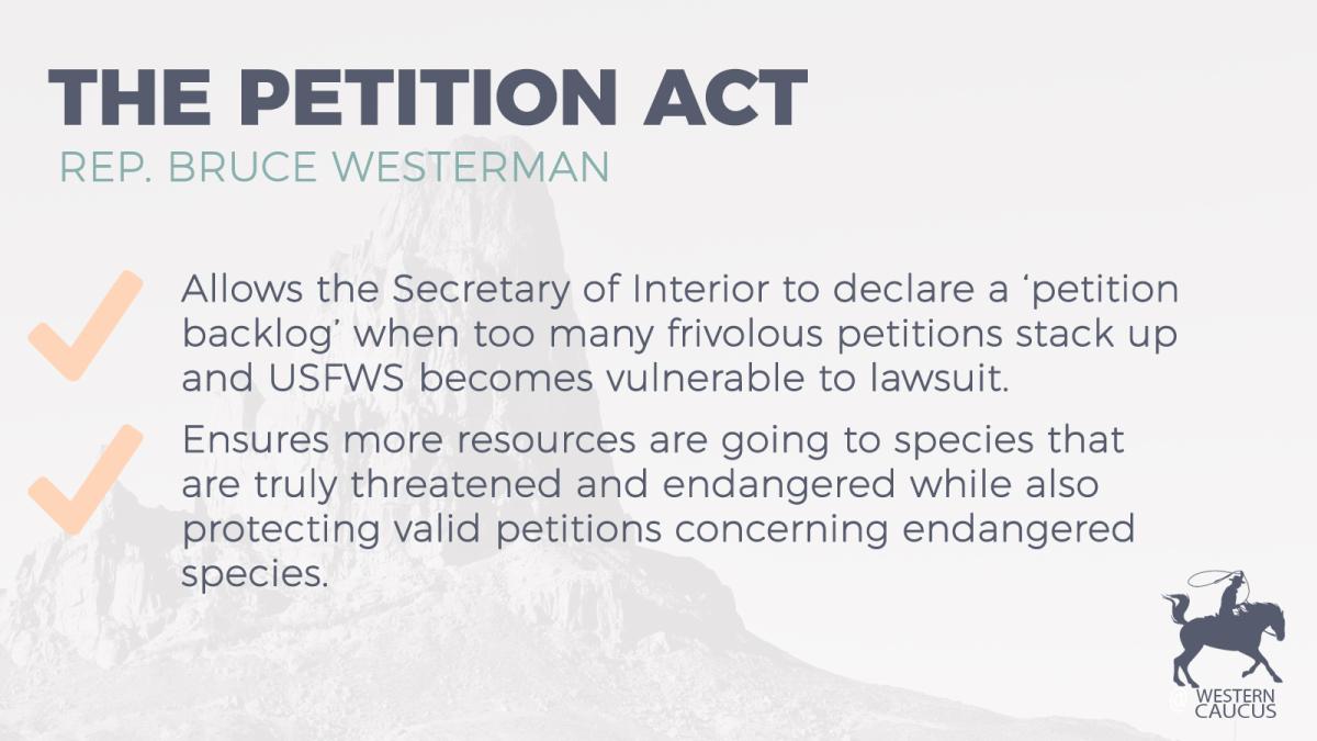 The PETITION Act