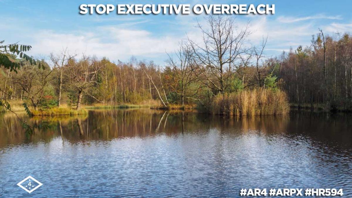 H.R. 594 stops executive overreach.