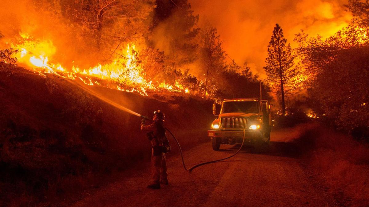 wildfire