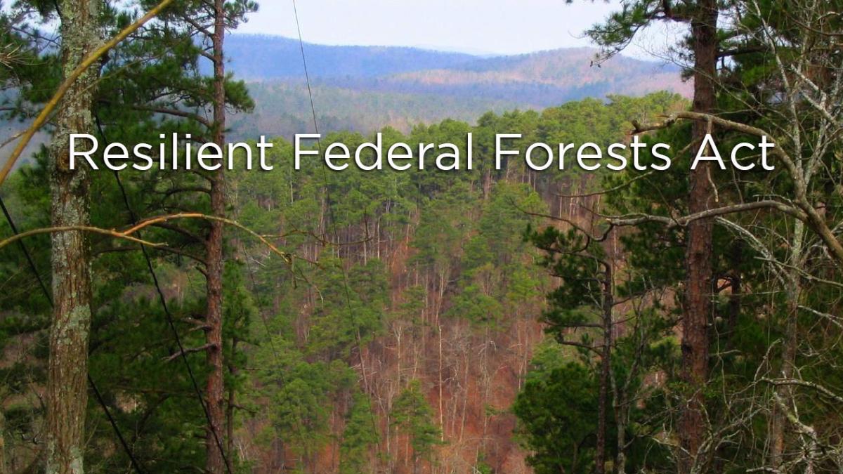 Resilient Federal Forests Act