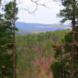 Resilient Federal Forests Act