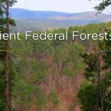 Resilient Federal Forests Act
